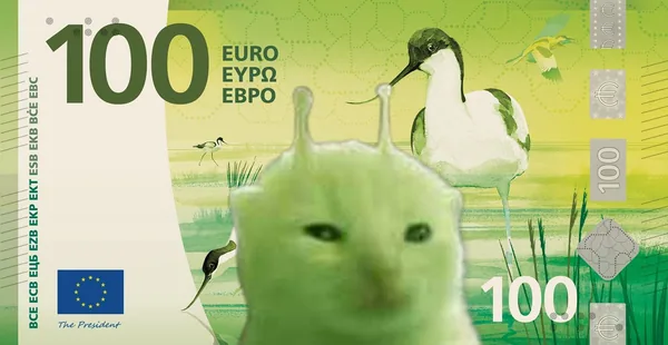Banknote design: Meine Ideen für die neuen Euro-Scheine: die Katze